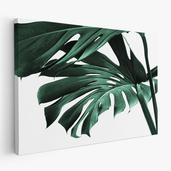 Cuadro en Lienzo - Hojas Tropicales Monstera