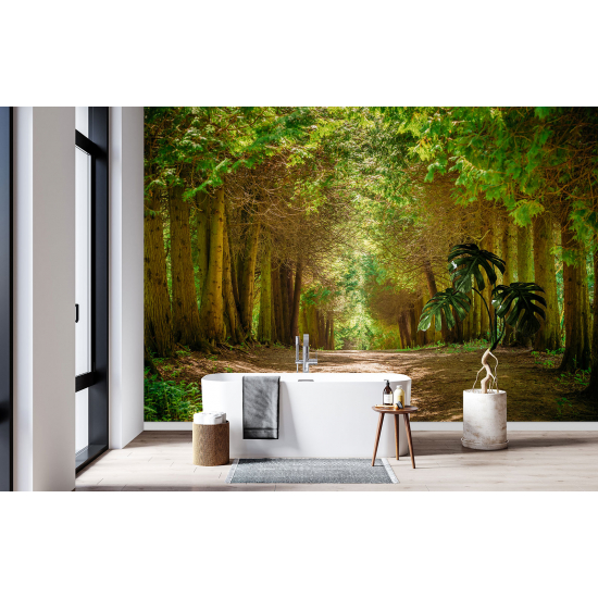 Papel pintado panorámico - Camino Bosque