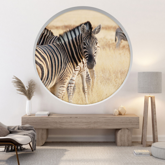 Vinilo Adhesivo Decorativo trampantojo 3D - Cebras